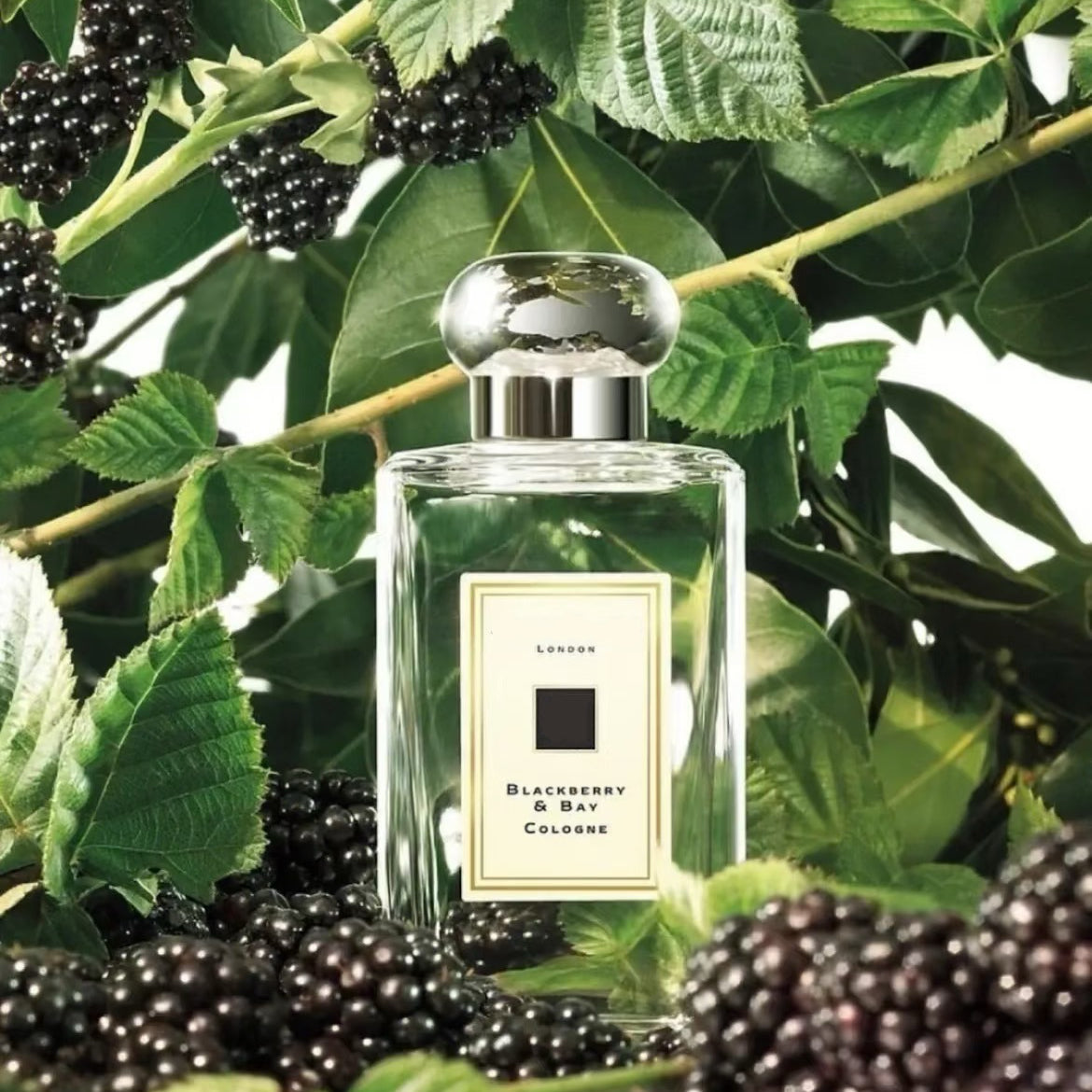 100ml Luxury Perfume Unisex Fragrance Fruity Floral Spray EDC
