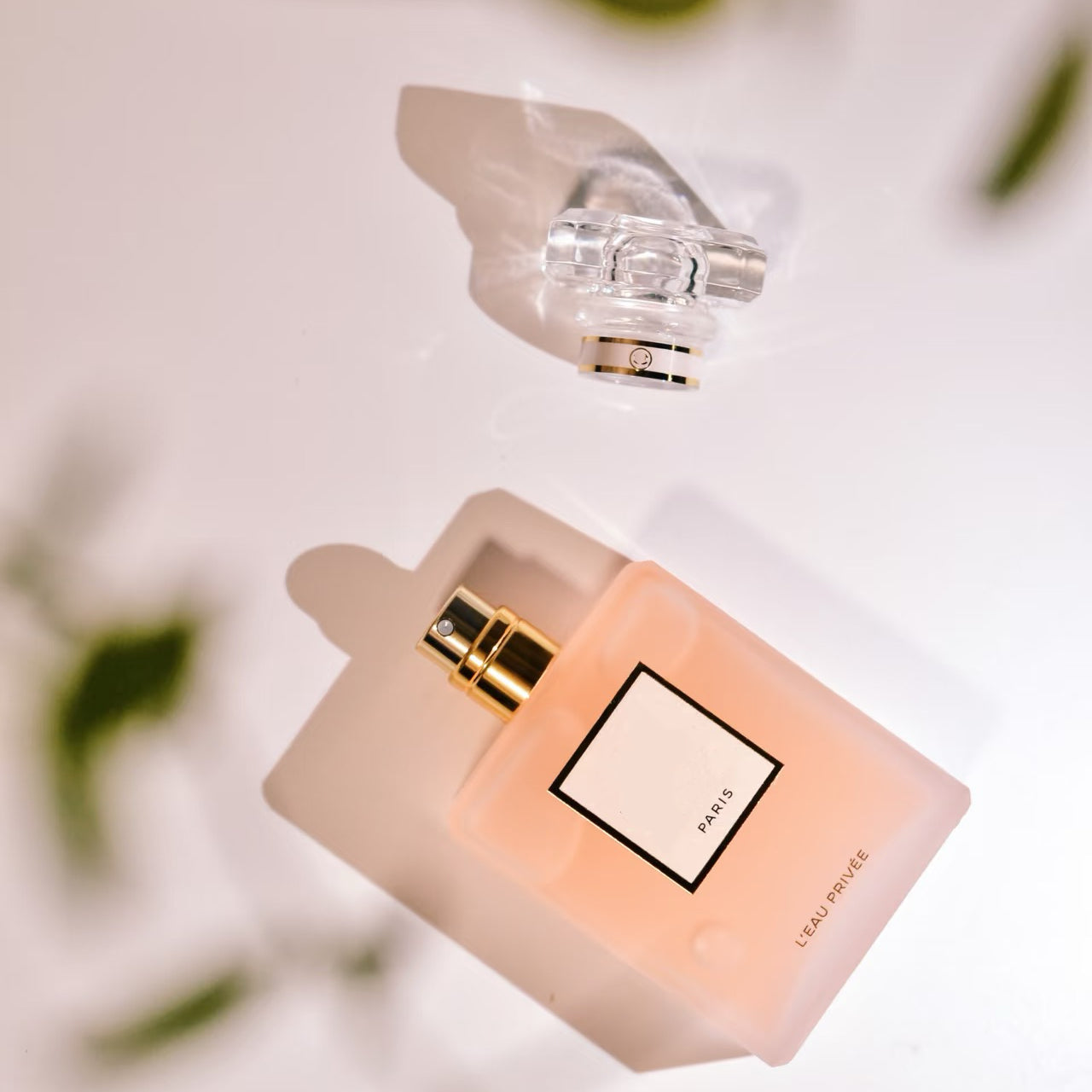 100ml Luxury Perfume Women Fragrance Floral Perfume Spray Night Fragrance Coco