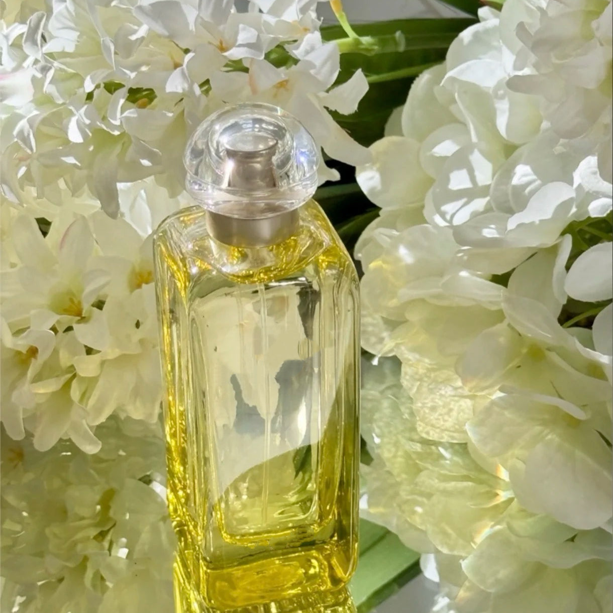 100ml Luxury Perfume Unisex Fragrance Floral Perfume Spray Le Jardin de Monsieur Li EDT