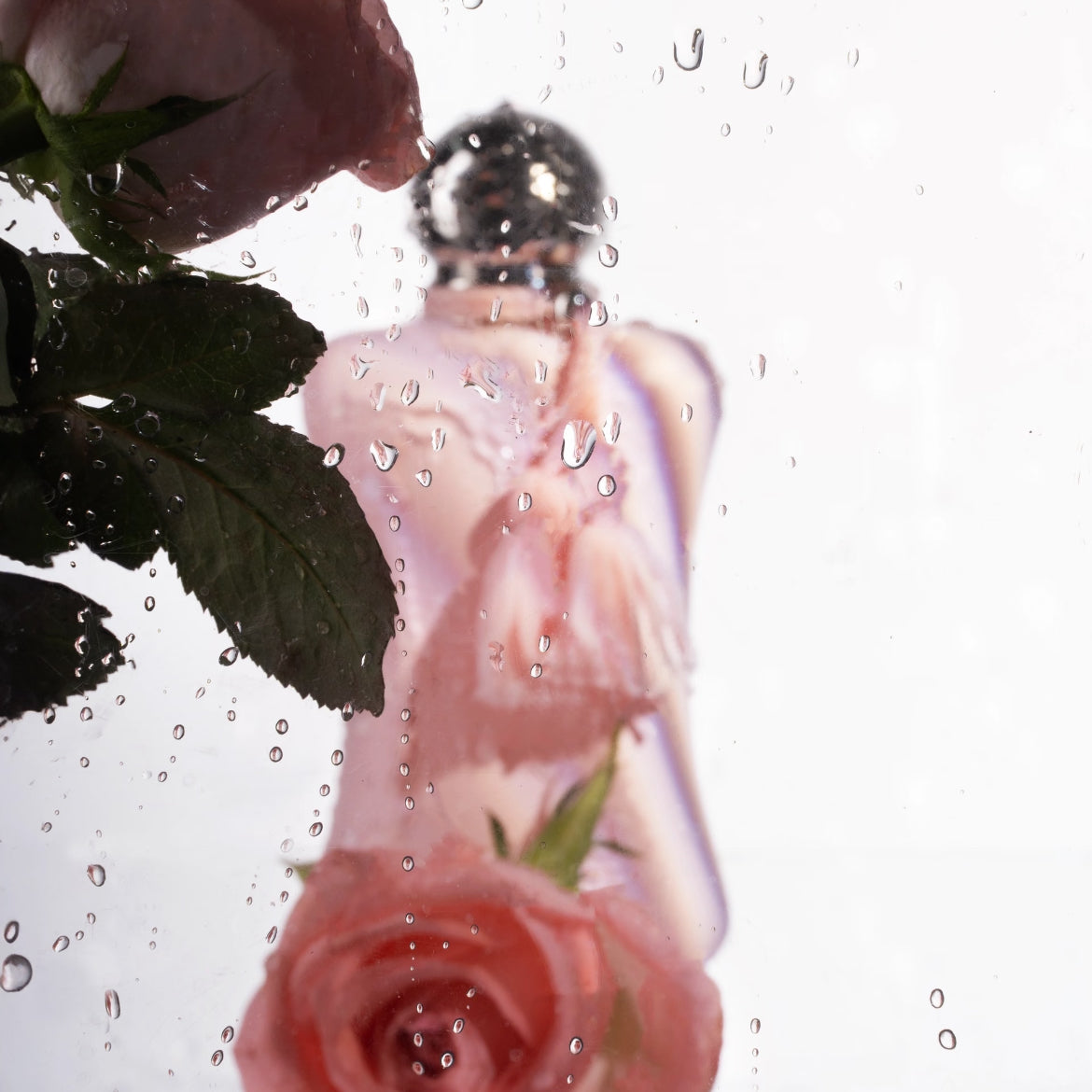 75ml Luxury Perfume Female Fragrance Fresh Floral Fruity Perfume Spray  Delina EDP