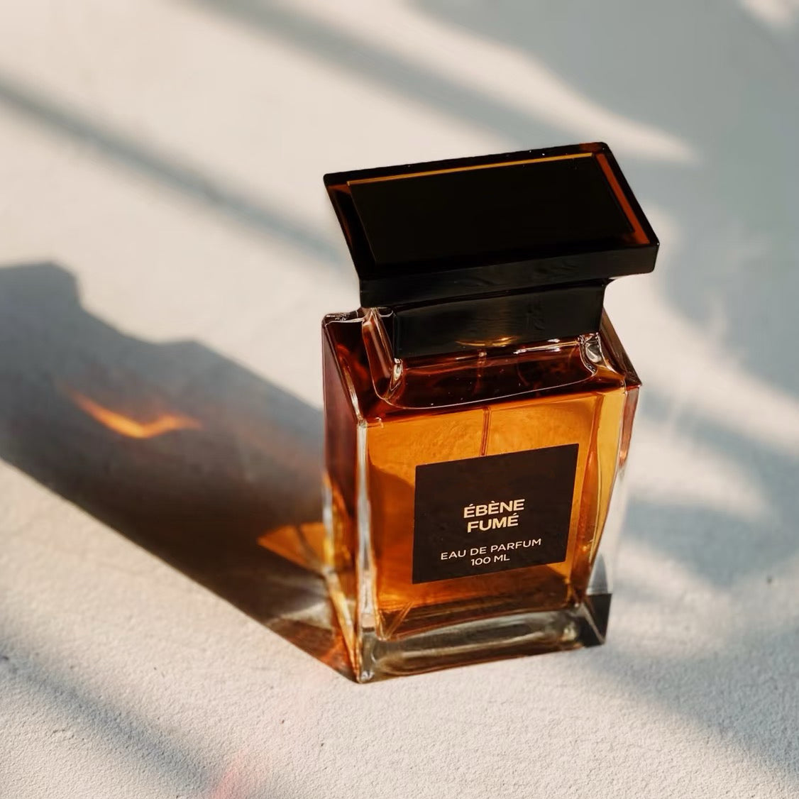 100ml Luxury Perfume Unisex Fragrance Floral Woody Perfume Spray Ébène Fumé EDP