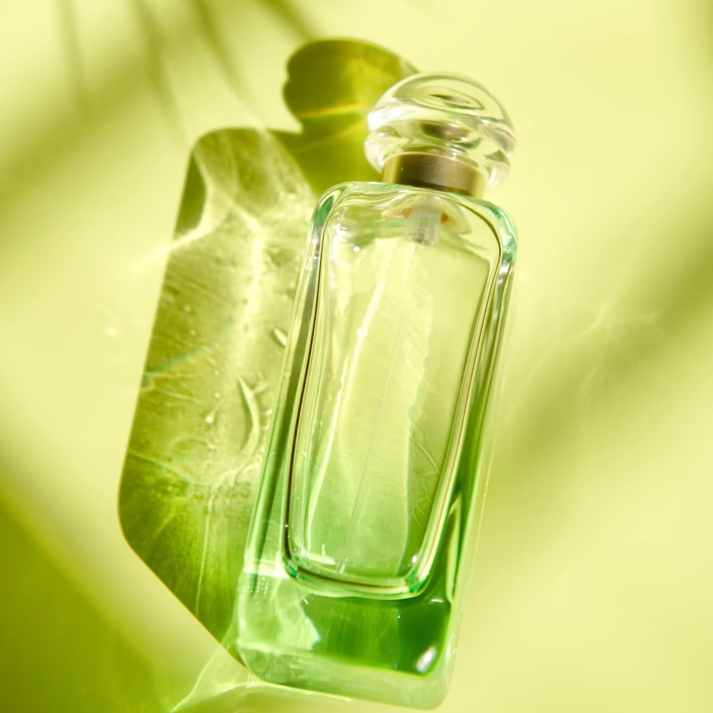 100ml Luxury Perfume Unisex Fragrance Fruity Perfume Spray Un Jardin sur le Toit EDT