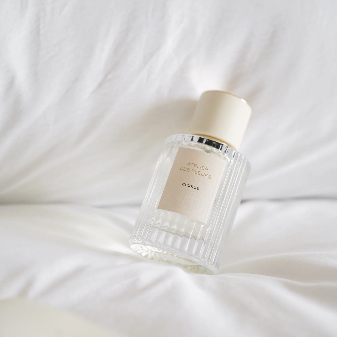 50ml Luxury Perfume Female Fragrance Floral Woody Perfume Spray Cedrus EDP