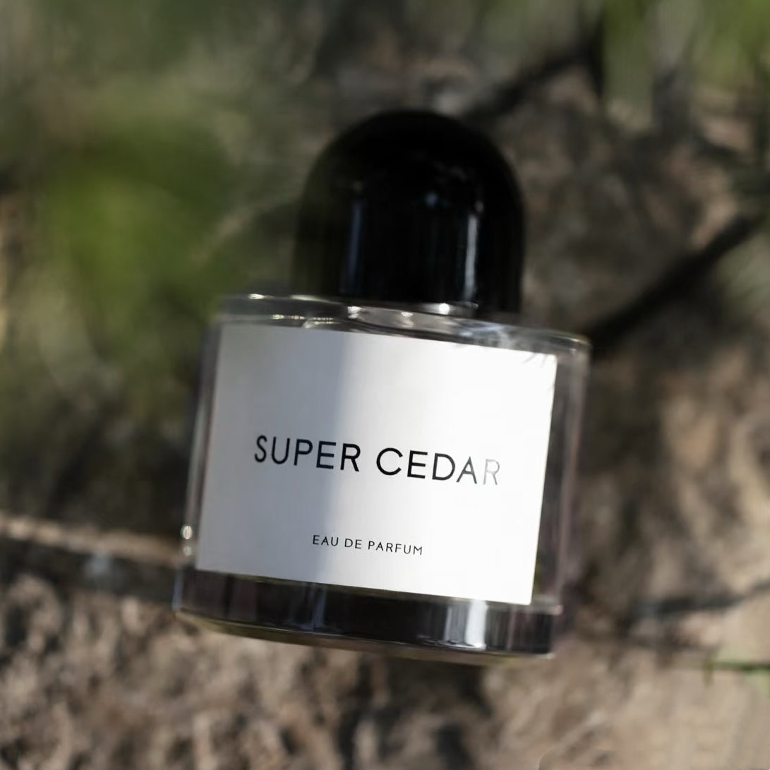 100ml Luxury Perfume Unisex Fragrance Fruity Floral Spray EDP Woody