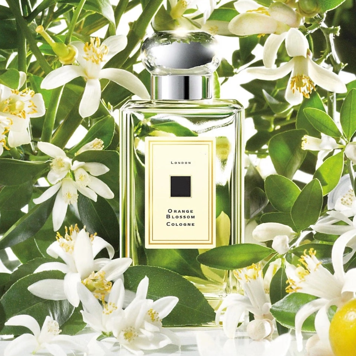 100ml Luxury Perfume Unisex Fragrance Fruity Floral Spray EDC