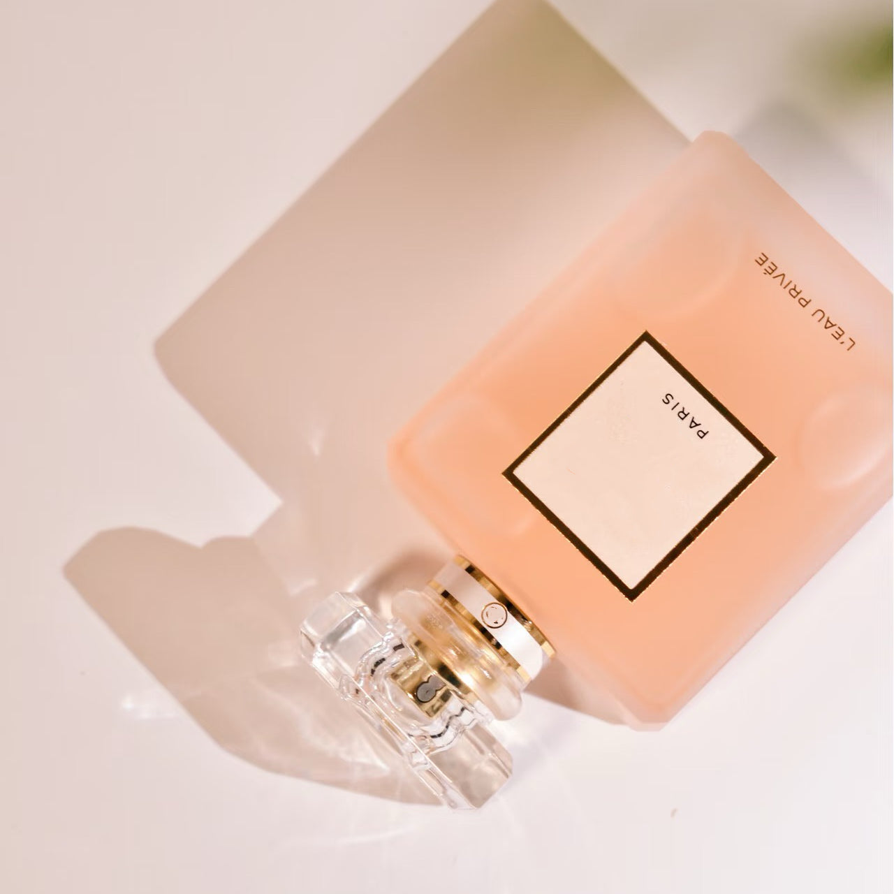 100ml Luxury Perfume Women Fragrance Floral Perfume Spray Night Fragrance Coco