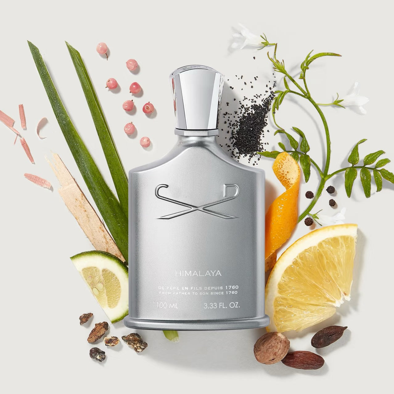 100ml Luxury Perfume Men Fragrance Woody Perfume Spray Himalaya EDP